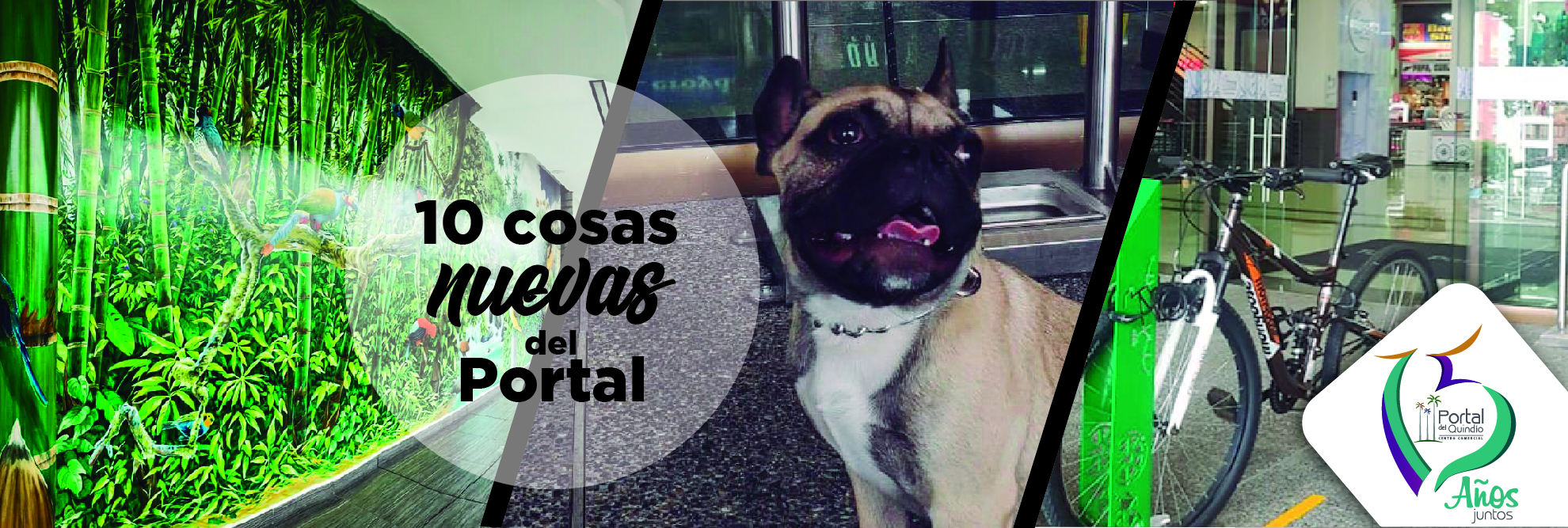 10 cosas nuevas del Portal que quizá no ha notado